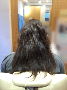 髪色・髪体力向上プログラム Before